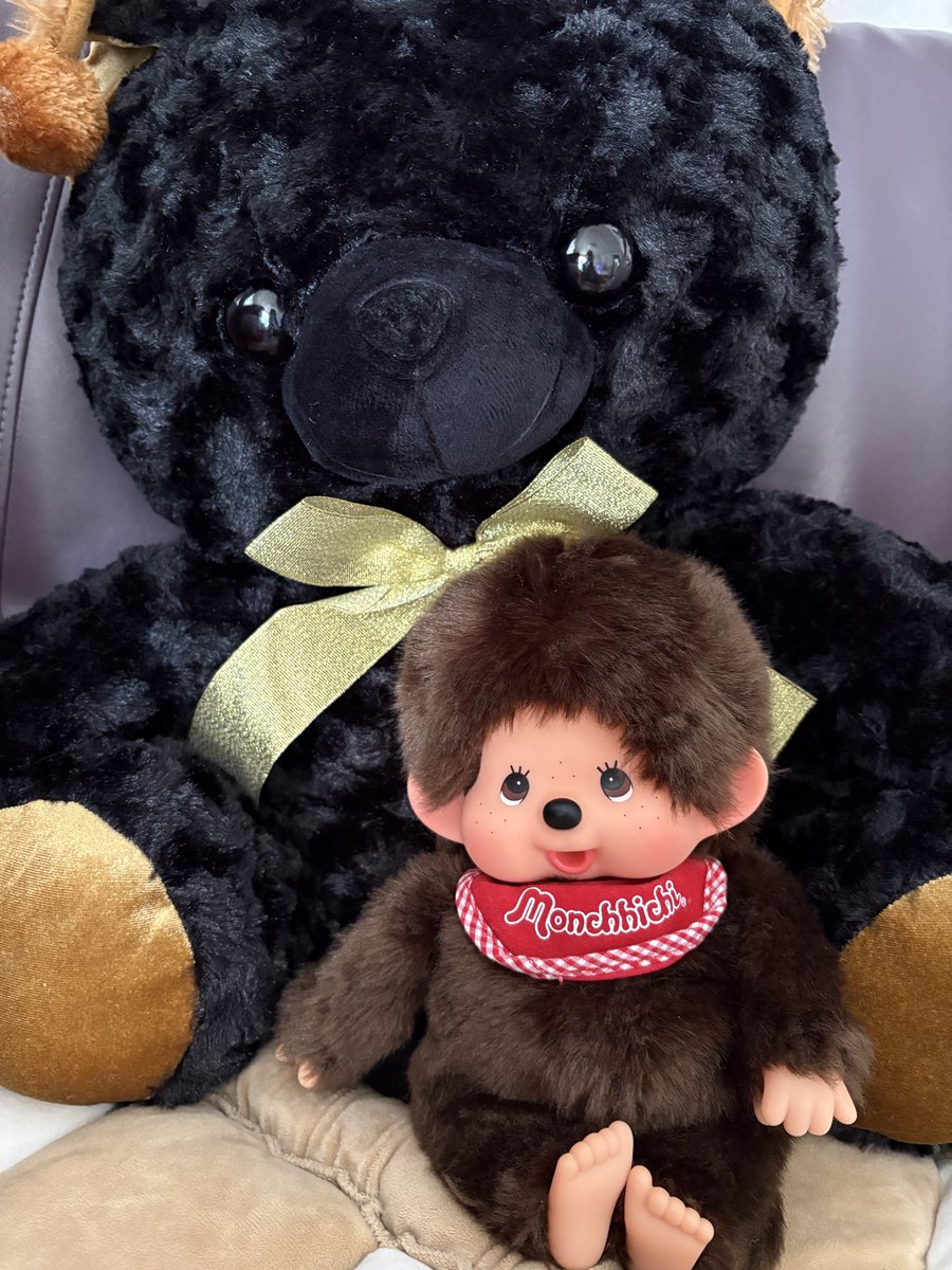 昨日は貴重な平日休みだったので実家に帰って もんちゃん（命名されて