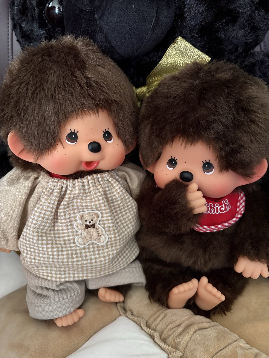 昨日は貴重な平日休みだったので実家に帰って もんちゃん（命名されて