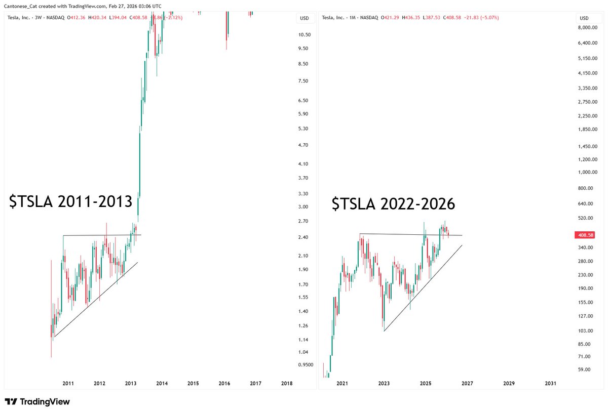 Cantonese Cat 🐱🐈 tweet media