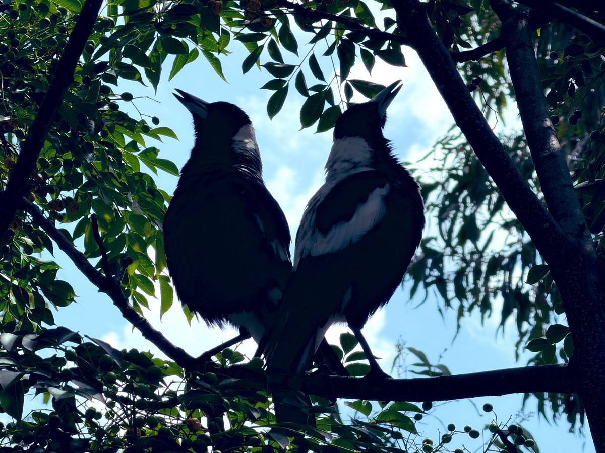 anna sublet tweet media