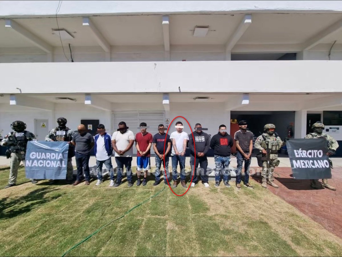 ✦✦✦ 𝙿𝚊𝚖𝚙𝚑𝚕𝚎𝚝𝚜 ✦✦✦ tweet media