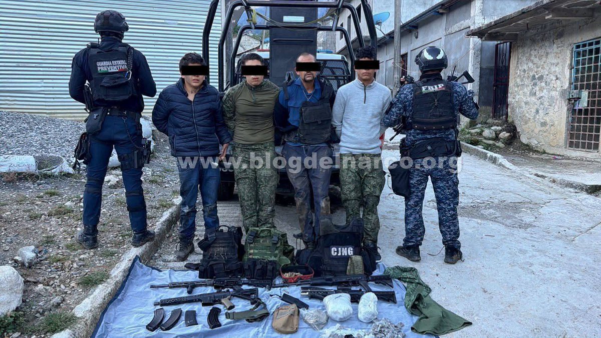 ✦✦✦ 𝙿𝚊𝚖𝚙𝚑𝚕𝚎𝚝𝚜 ✦✦✦ tweet media