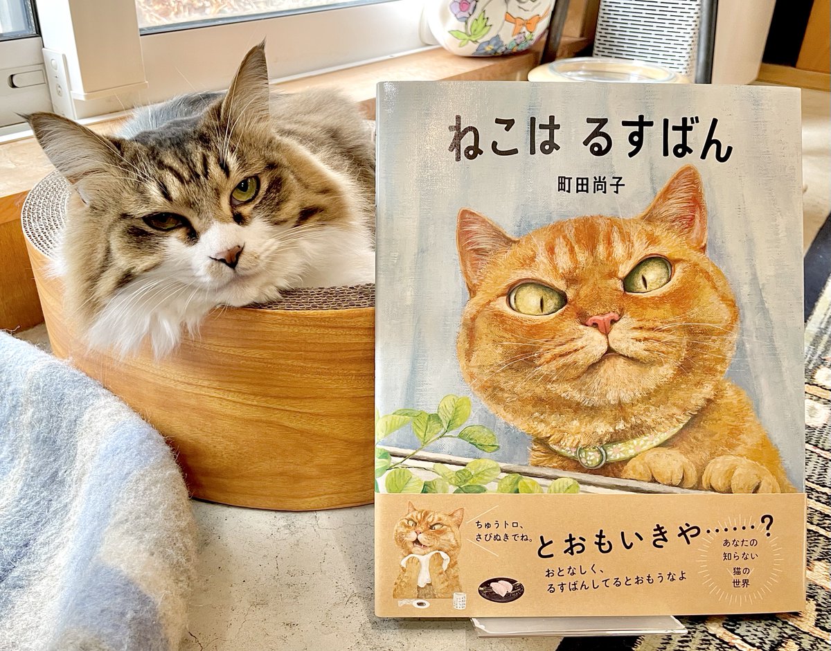 キャッツ☆在庫確認お願いいたします。