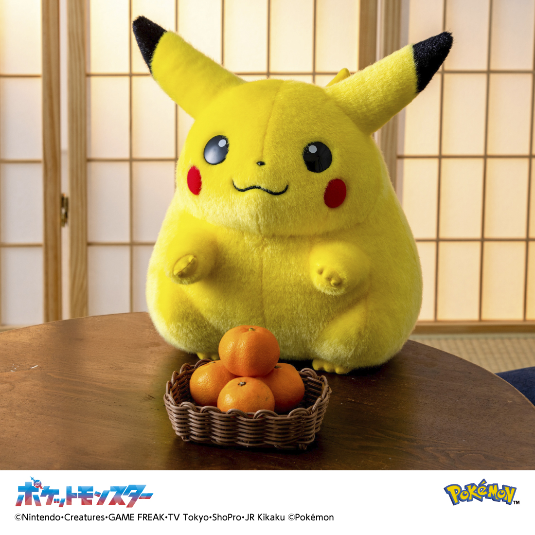 ポケモン30周年⚡ 「おかえり！ピカチュウ1/1」 全国の玩具専門店