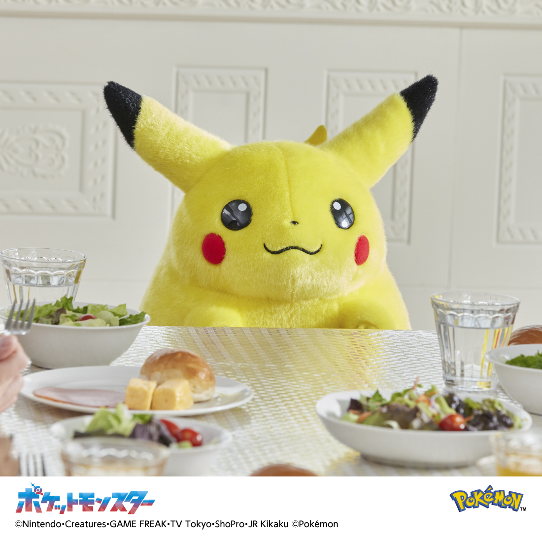 ポケモン30周年⚡ 「おかえり！ピカチュウ1/1」 全国の玩具専門店