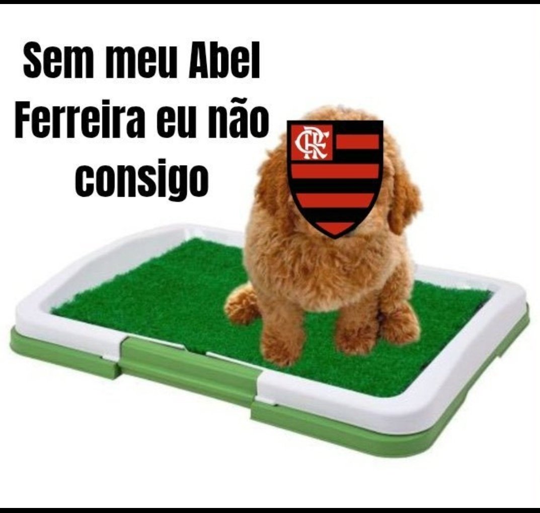 Slowzz33 tweet media