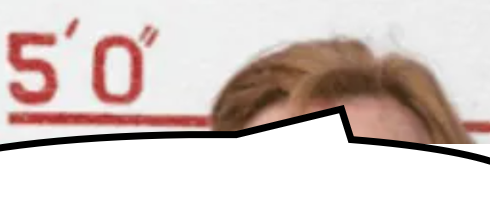 Reddit Lies tweet media