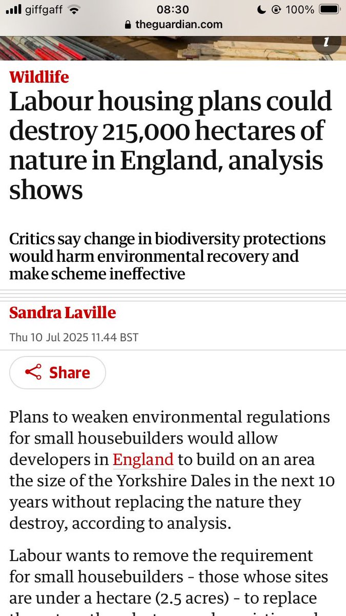 Danica Priest🦇🦎🦇🦎🍃💚🍃 tweet media