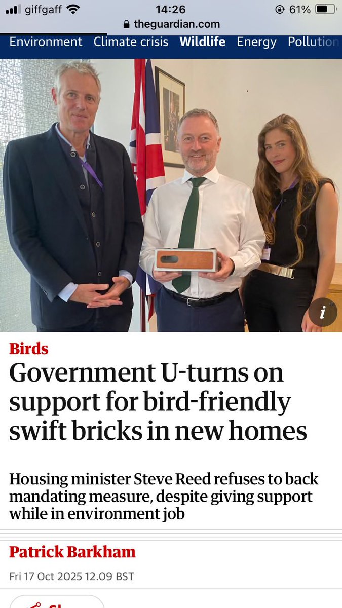 Danica Priest🦇🦎🦇🦎🍃💚🍃 tweet media