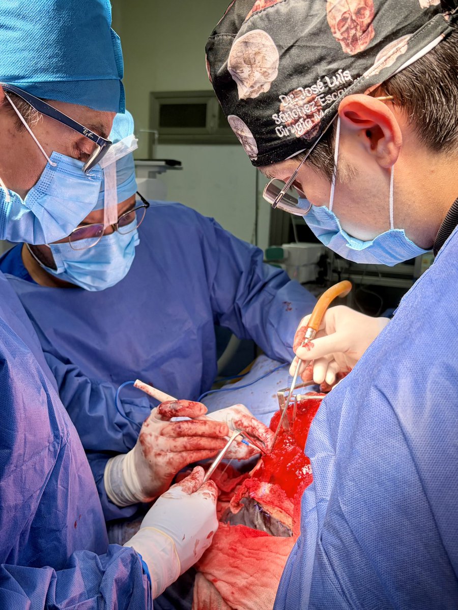 Hugovical tweet media