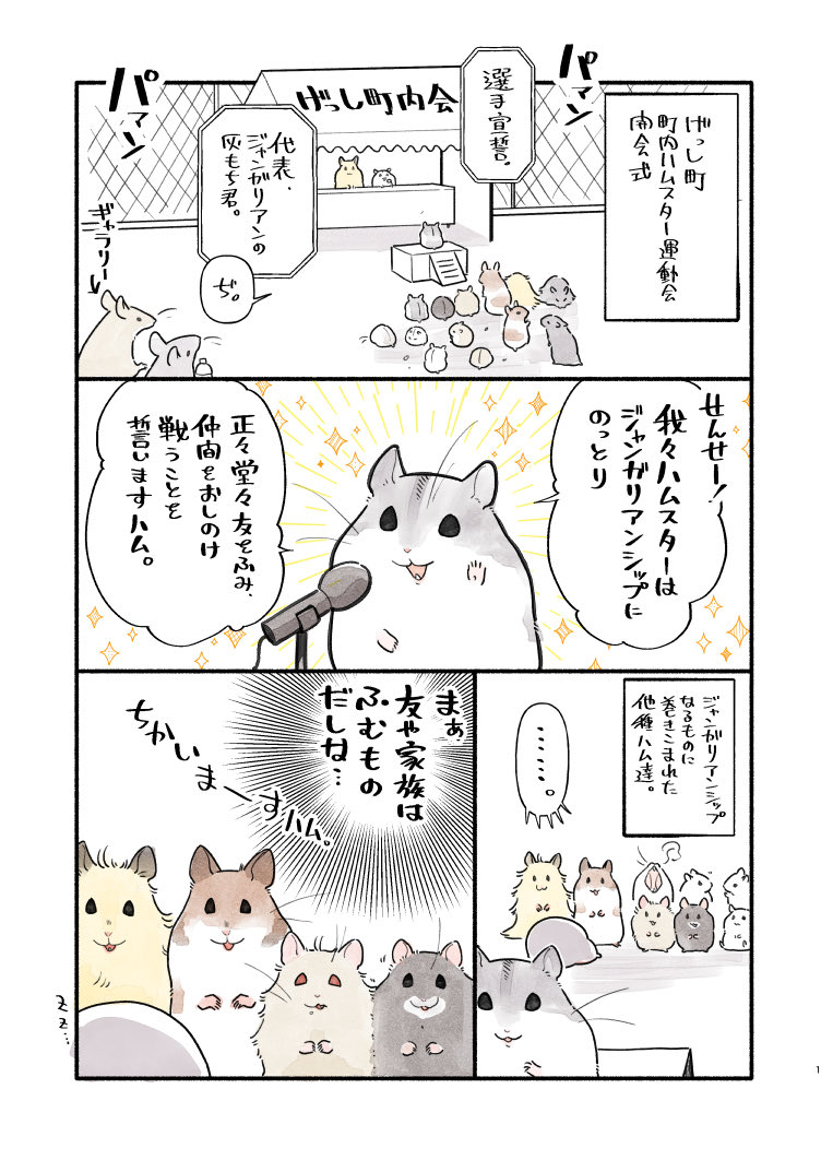 ハムスター運動会開会式=^・ω・^= 