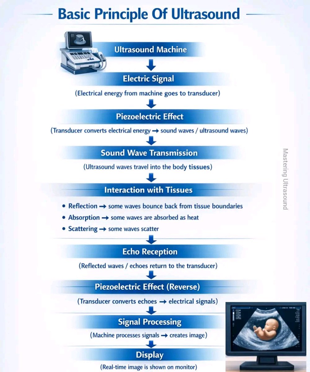 mznljrdy47597's tweet photo. Basic Principle Of Ultrasound
#masteringultrasound #ultrasound #ultrasoundscan https://t.co/ZgKcjW1HZG