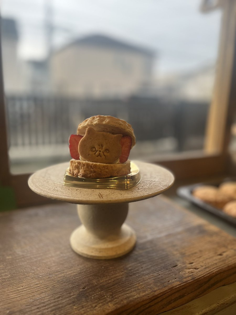 うめだ商店　お席空きました

本日　うめだ商店おやつ屋も営業しております

両店舗ご来店お待ちしています