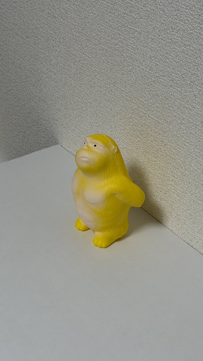 DAYS BRIDGE tweet media