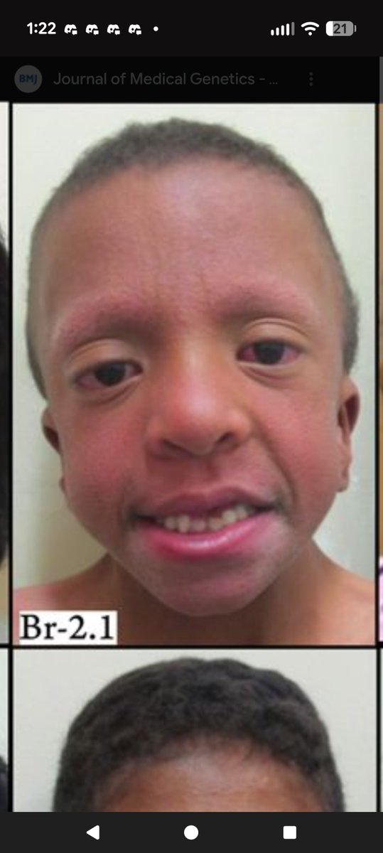 SteveFromWyrmhaven tweet media