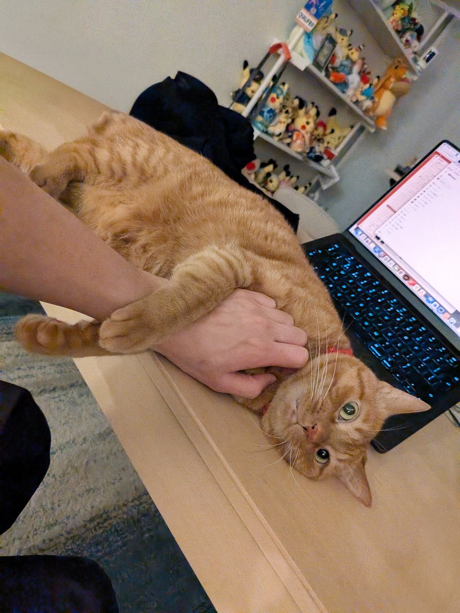 松丸 亮吾 🍥 tweet media