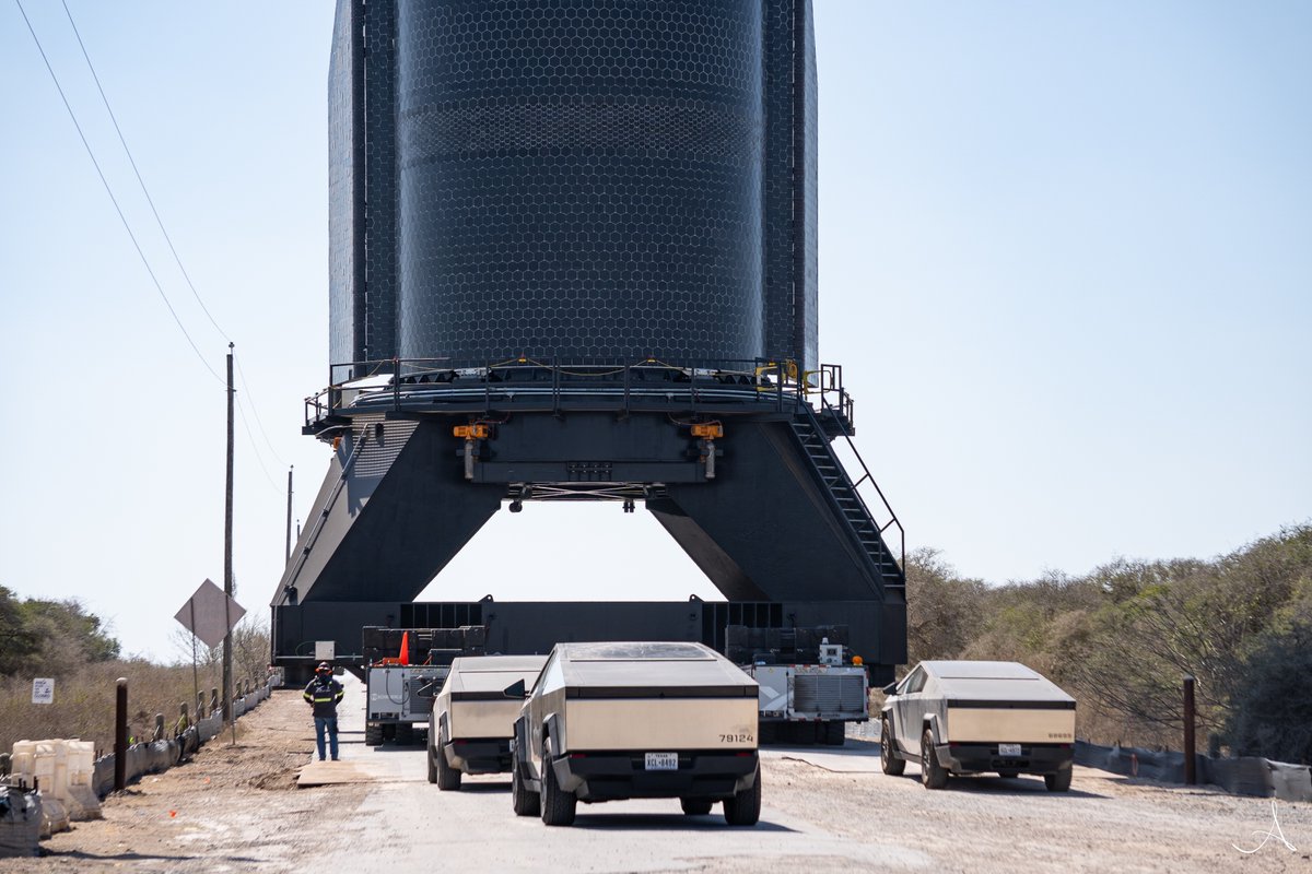 Amy Doehring tweet media