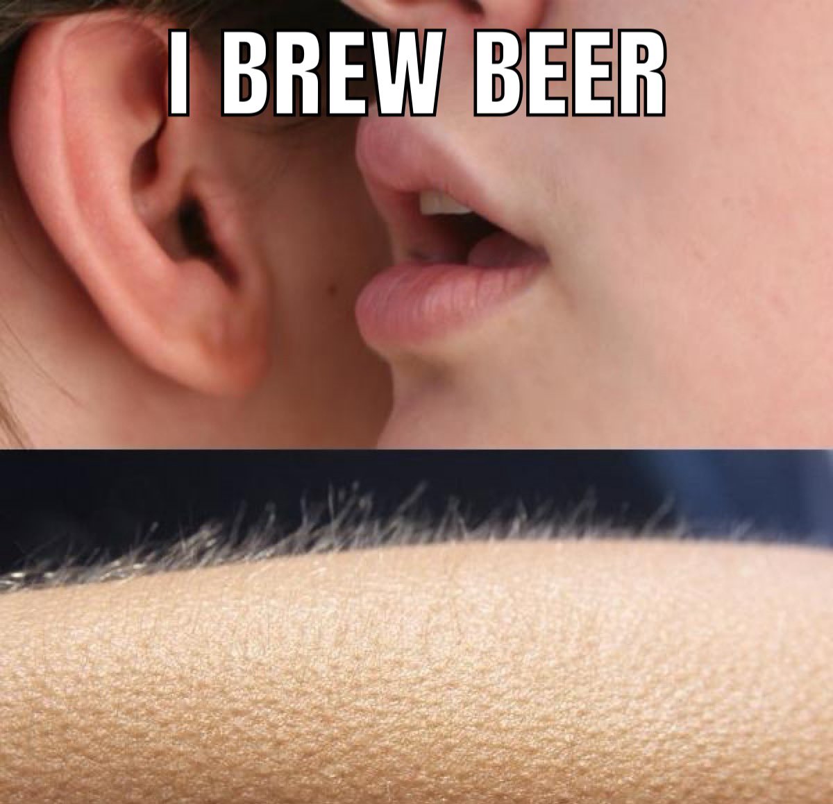 DefiDegen250's tweet image. BREW TO EARN 🍻 

Did my first compound today on @CrobertOnCronos Brewery 🍻 

Having my $CRO earning 8% daily is pretty impressive 🤑

Join in on the fun and start your journey brewing 🍻 

cro-bert.vercel.app/?ref=0xA95Dd34…

#Crobert #Cronos #DeFi #PonziSZN #BrewMasters