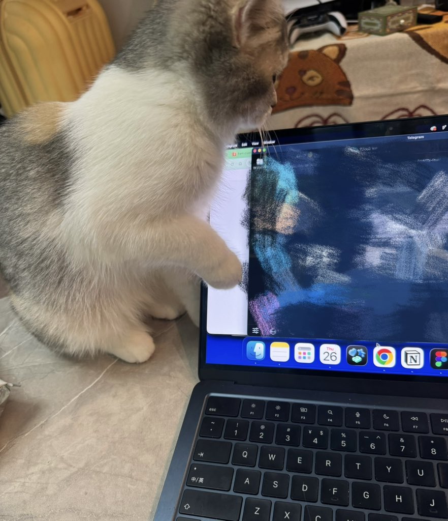 Keyla.tb🪙🪙k tweet media