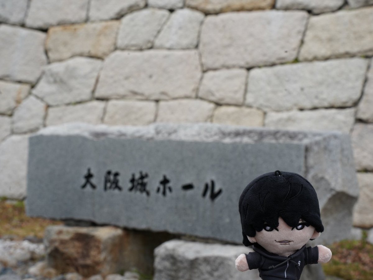 こっちゃん🦔🦅 (@st_51koto530) / Posts / X