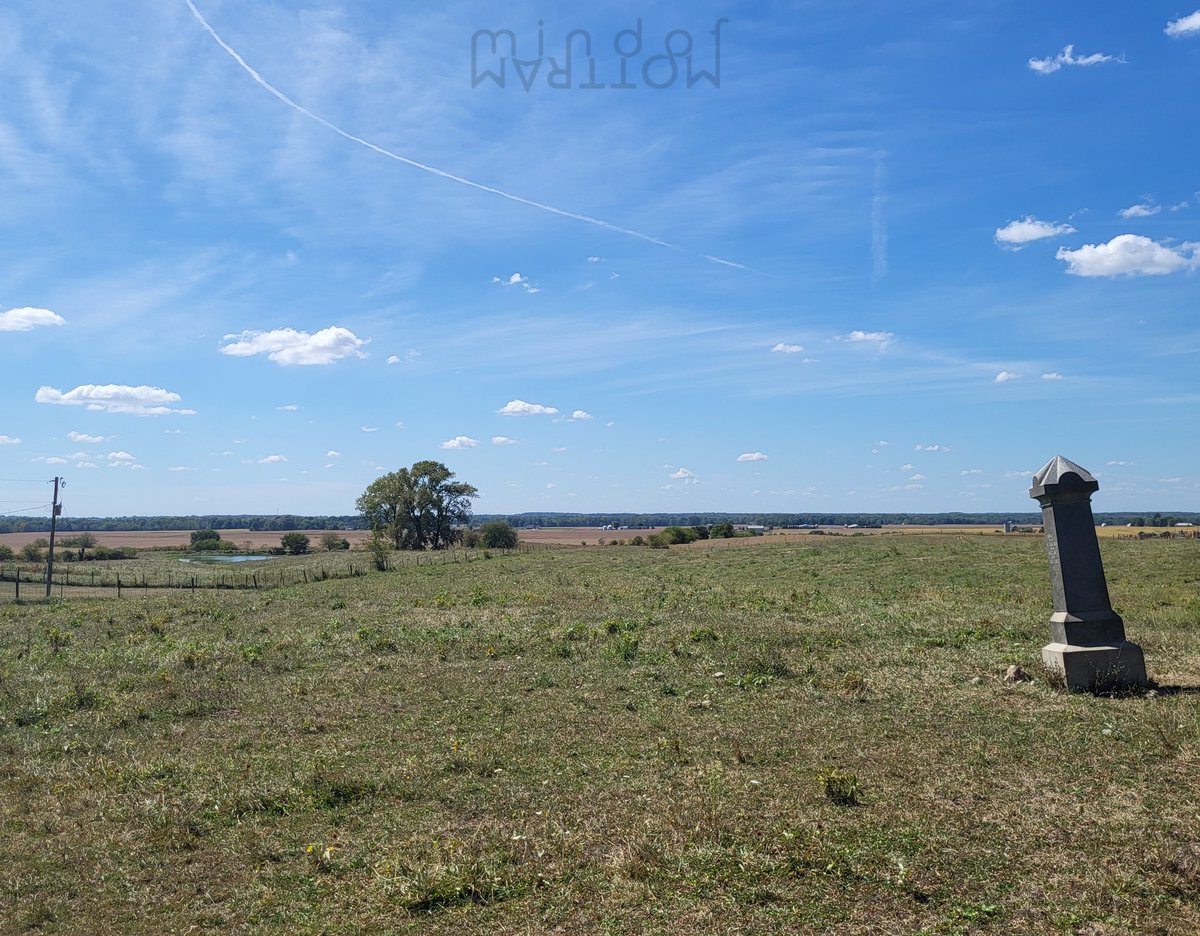 M O T T R A M tweet media