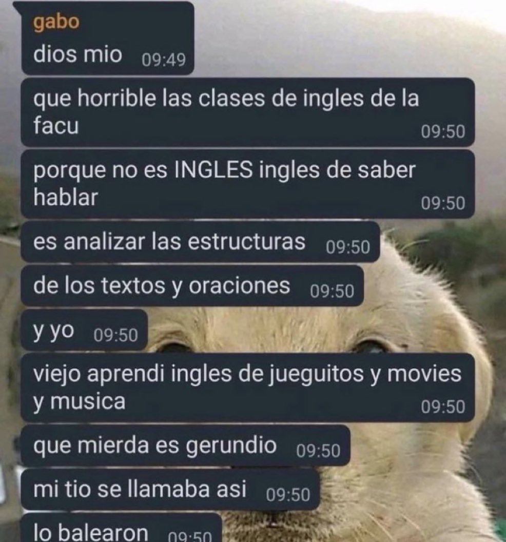 Pocho tweet media