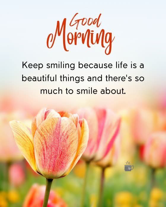 JournoShukla's tweet photo. #Aabhar🌄💐
#VeryGoodMorning https://t.co/PYY0XdG4Qi