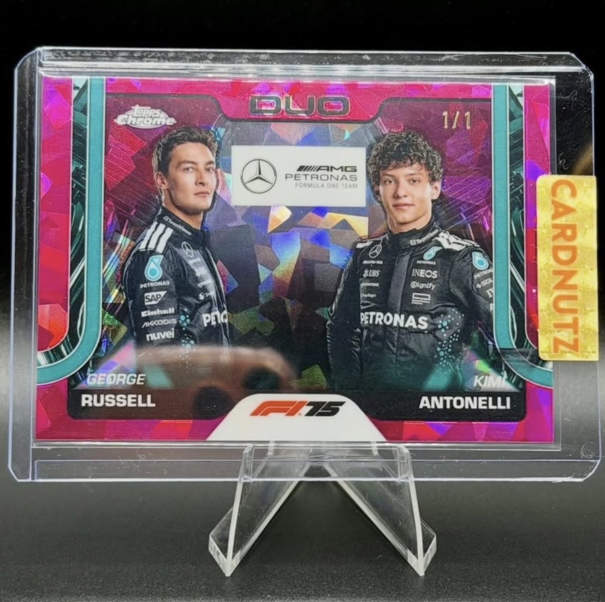 Fest Sports Cards tweet media