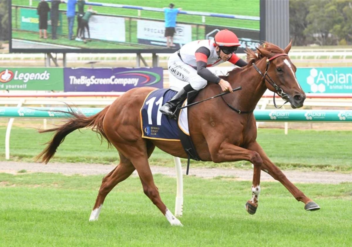 Weeding Racing tweet media