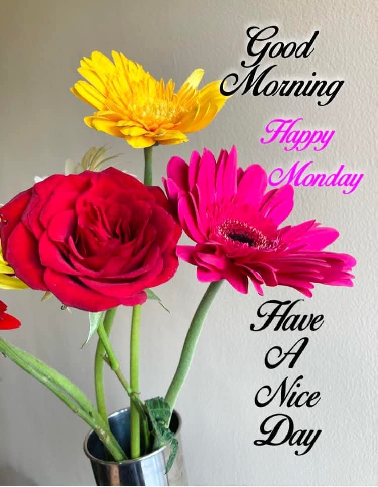 JournoShukla's tweet photo. @avsheshkumar
#VeryGoodMorning https://t.co/msO9fJzL1f