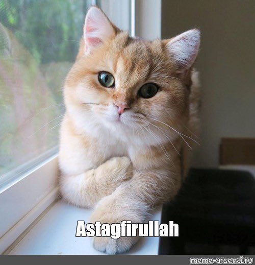 I just saw someone mentioning putting salami on a cheesesteak.