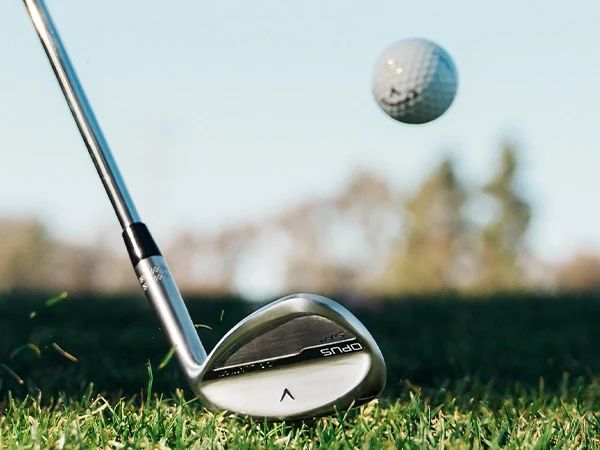 Canadian Pro Shop Online tweet media