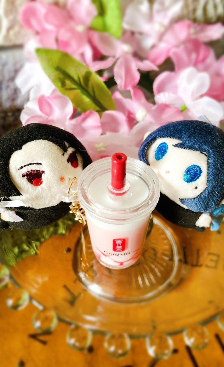 ミニもちと合わせるとこんなサイズ