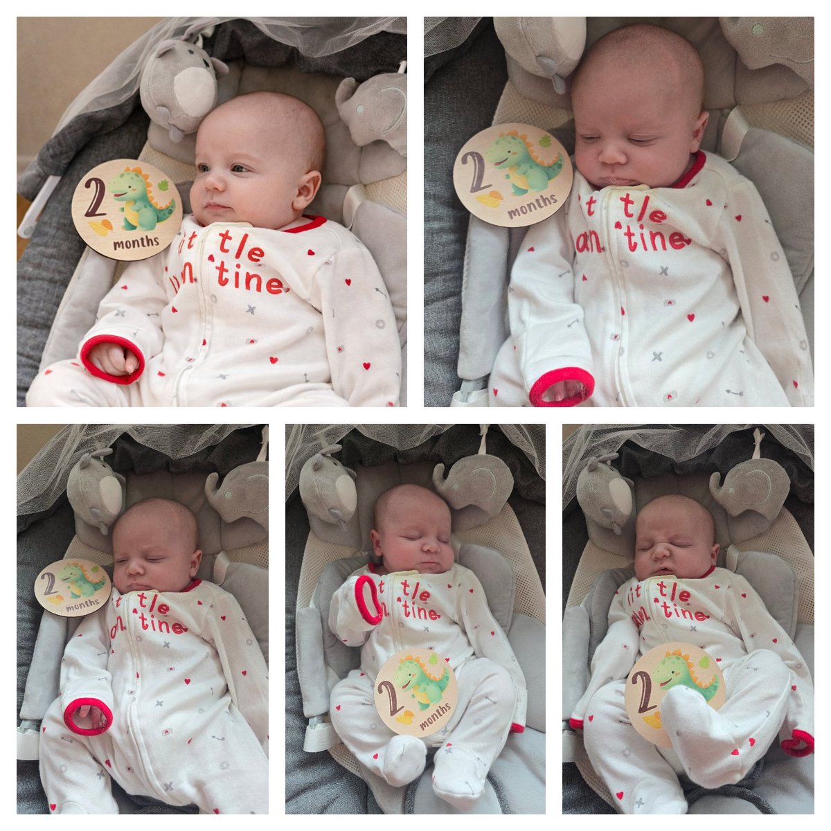 fairyrose300's tweet image. 2 months old.
How have we already lived 8 whole weeks of loving you? You’ve made our world softer, sweeter, and a little more tired — but in the best way. 💙 #TwoMonths #TateJames