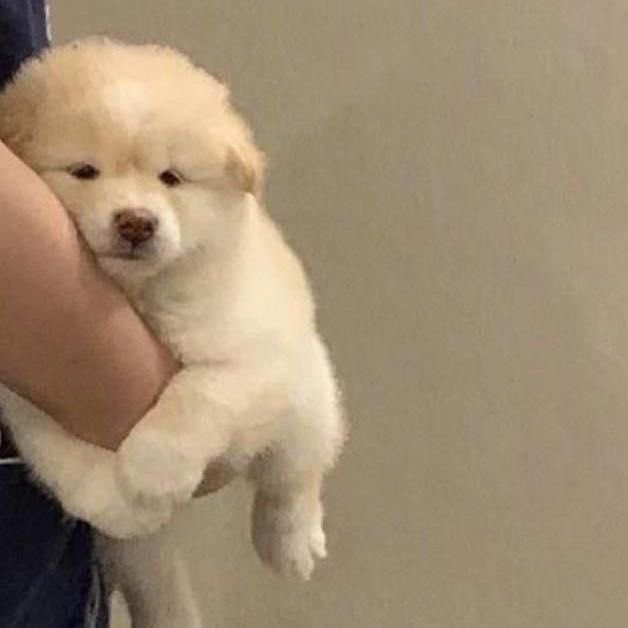 หนูรักพิ ๆ มาก 🫂 ♡ ♡