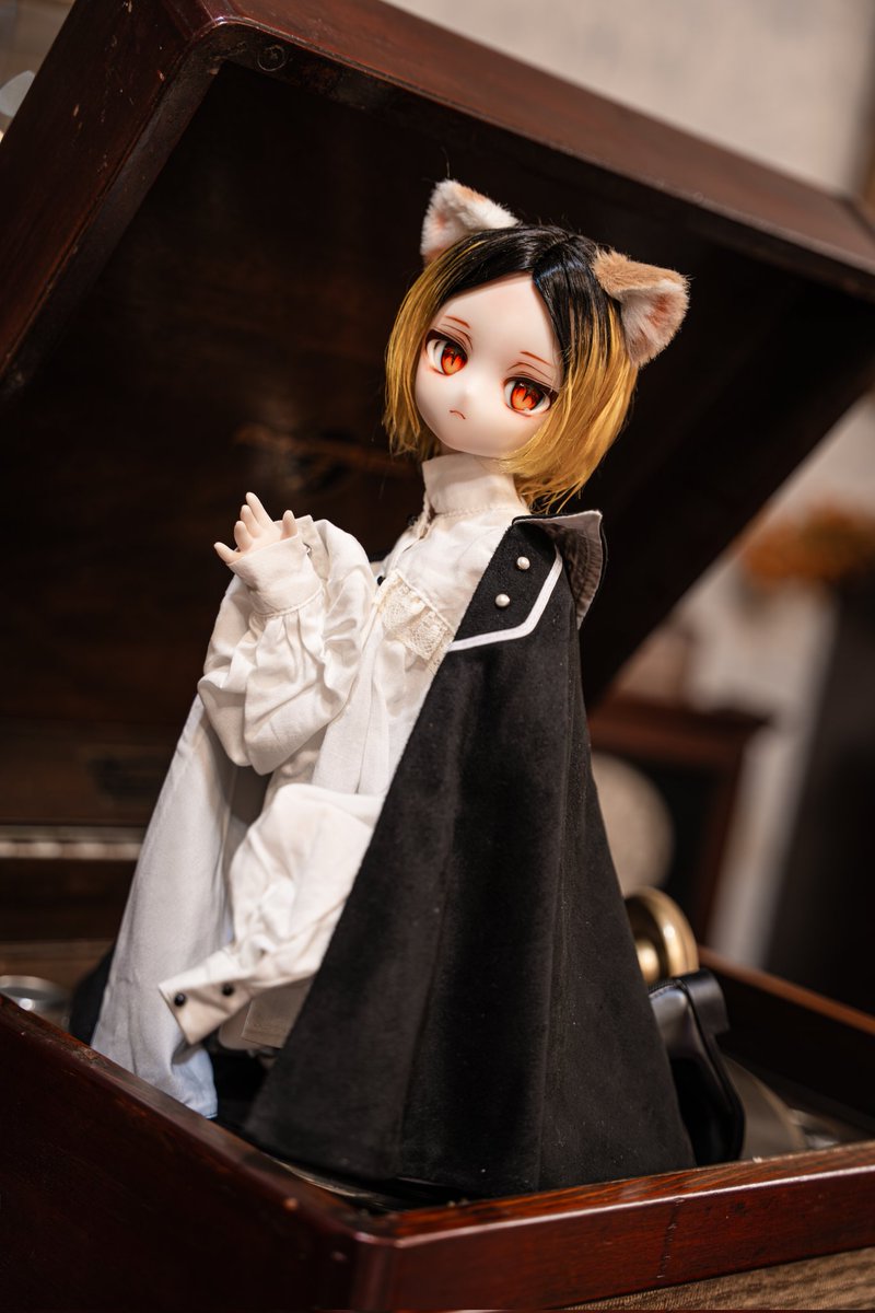 오랜만에 나온 켄마🐈
#ハイキュー
#Nyacho_crunch 
#EIRI_DOLL 
#MDDはいいぞ