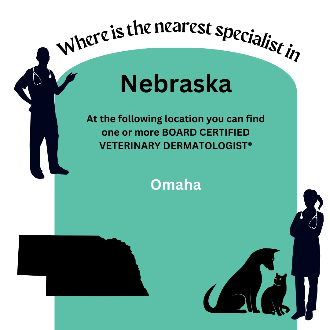 the_ACVD's tweet photo. You can find a BOARD CERTIFIED VETERINARY DERMATOLOGIST® across the United States and other countries including #Nebraska

Dermatologists are specialists with extra training in treating allergies, skin &amp; ear disease. Use our map to find the dermatologist nearest to you.

#ACVD https://t.co/CwbL91LsP8