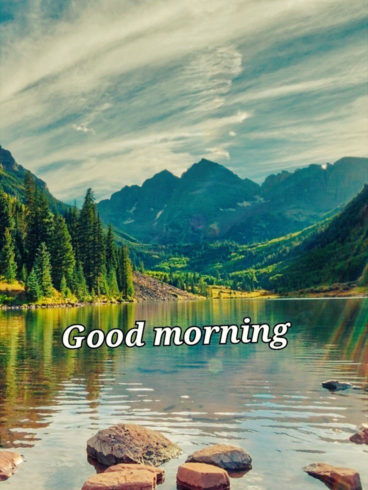 🌐 𝗚𝗟𝗢𝗕𝗔𝗟 𝗔𝗗𝗗𝗔 ❣️ tweet media