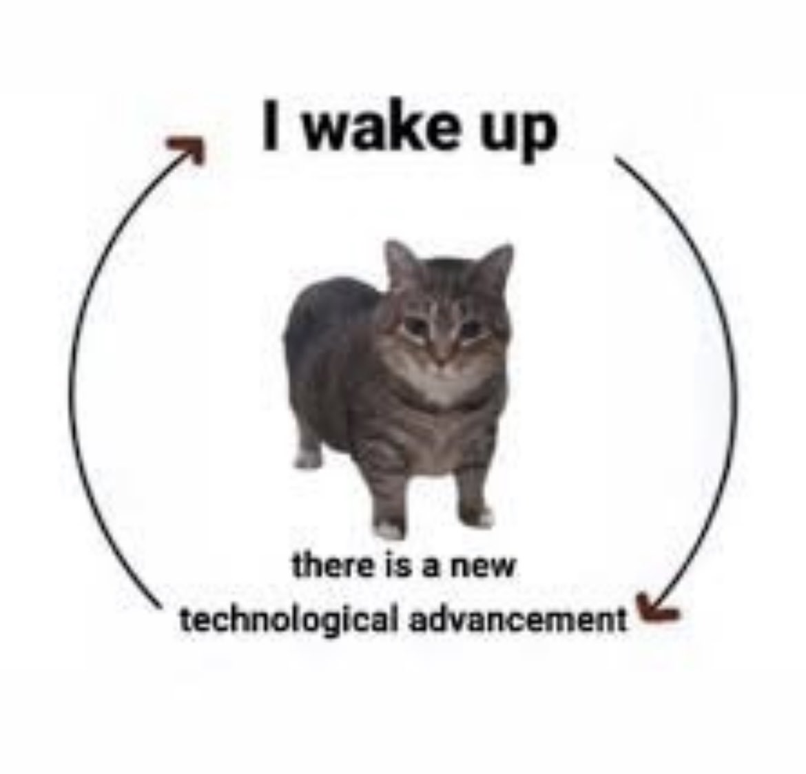 Devaashish Kumar tweet media