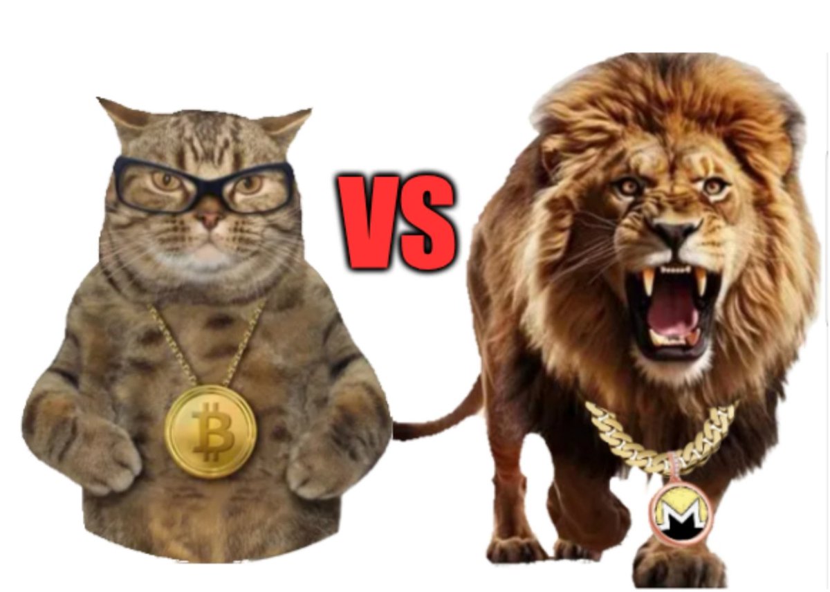 MoneroIsBetter's tweet photo. @HODLXMR I know who I'm betting on.... https://t.co/u4KIzIliEM