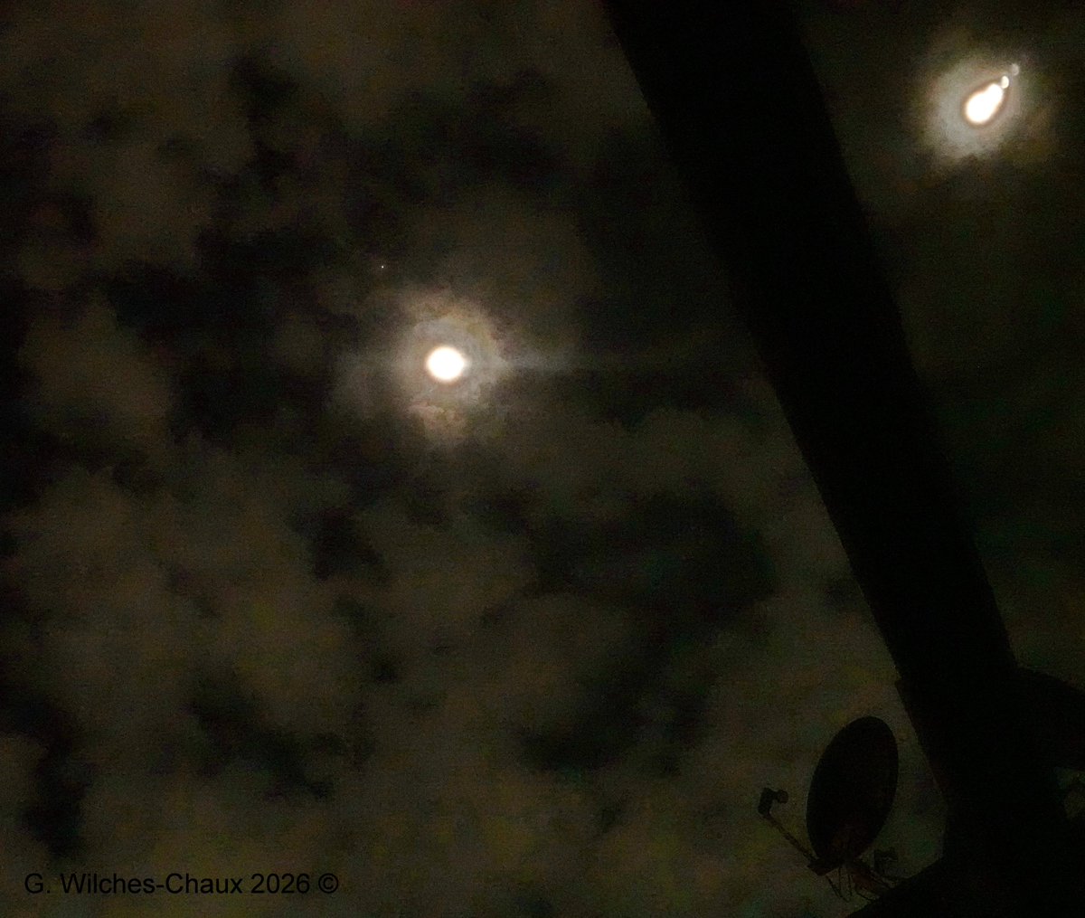 wilcheschaux tweet media