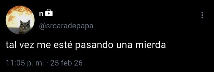 ꒰ঌ ⋆. 𝒜𝓁3x ˚⟡ ࣪ ˖ | gussyangel era tweet media