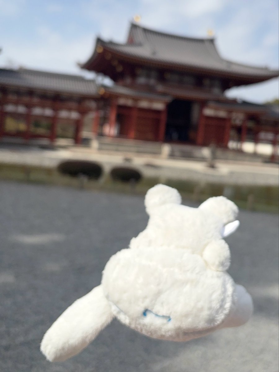 これは平等院鳳凰堂から落下するシナモン