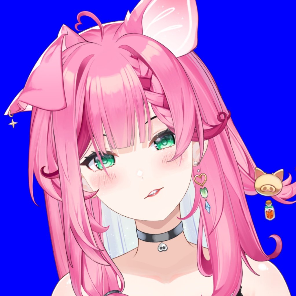 🐽 Pyork tweet media