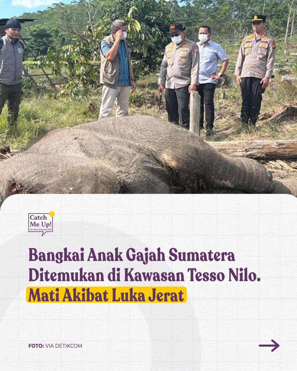 Untuk yang kesekian kali, gajah mati akibat jerat.