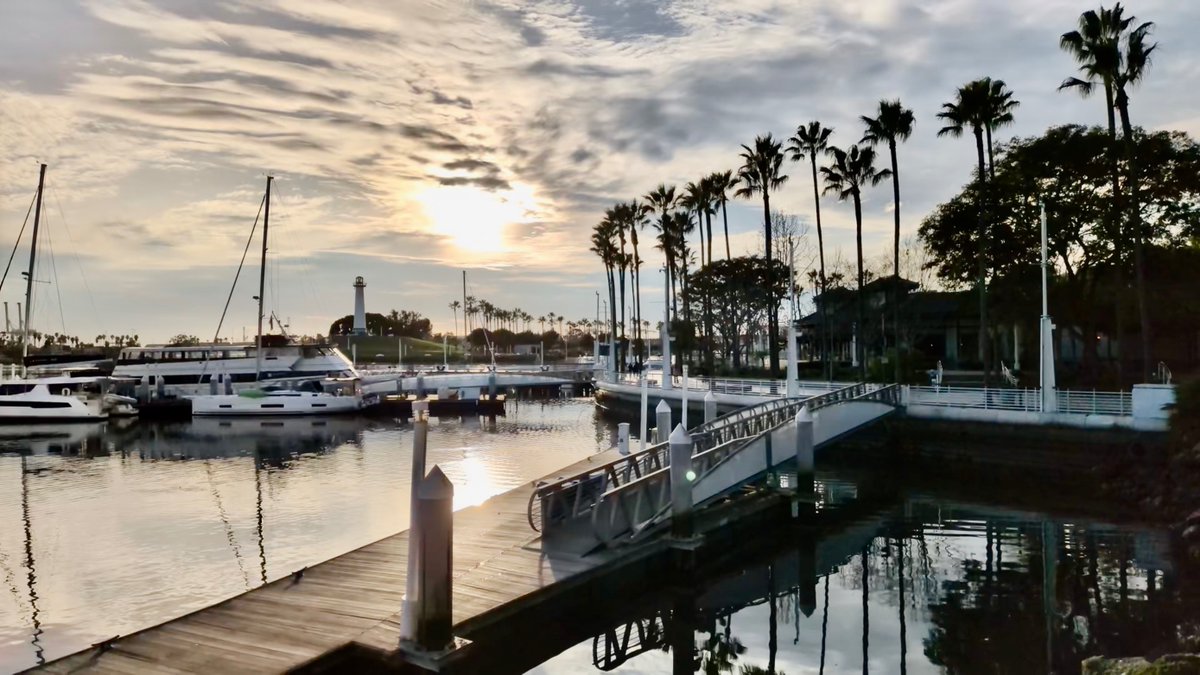 Beautiful day at Long Beach Harbor 🌅⚓ Palms, boats, golden light—pure SoCal magic. Loving this reset.
#LongBeachCA #HarborVibes #GoldenHour #SoCal