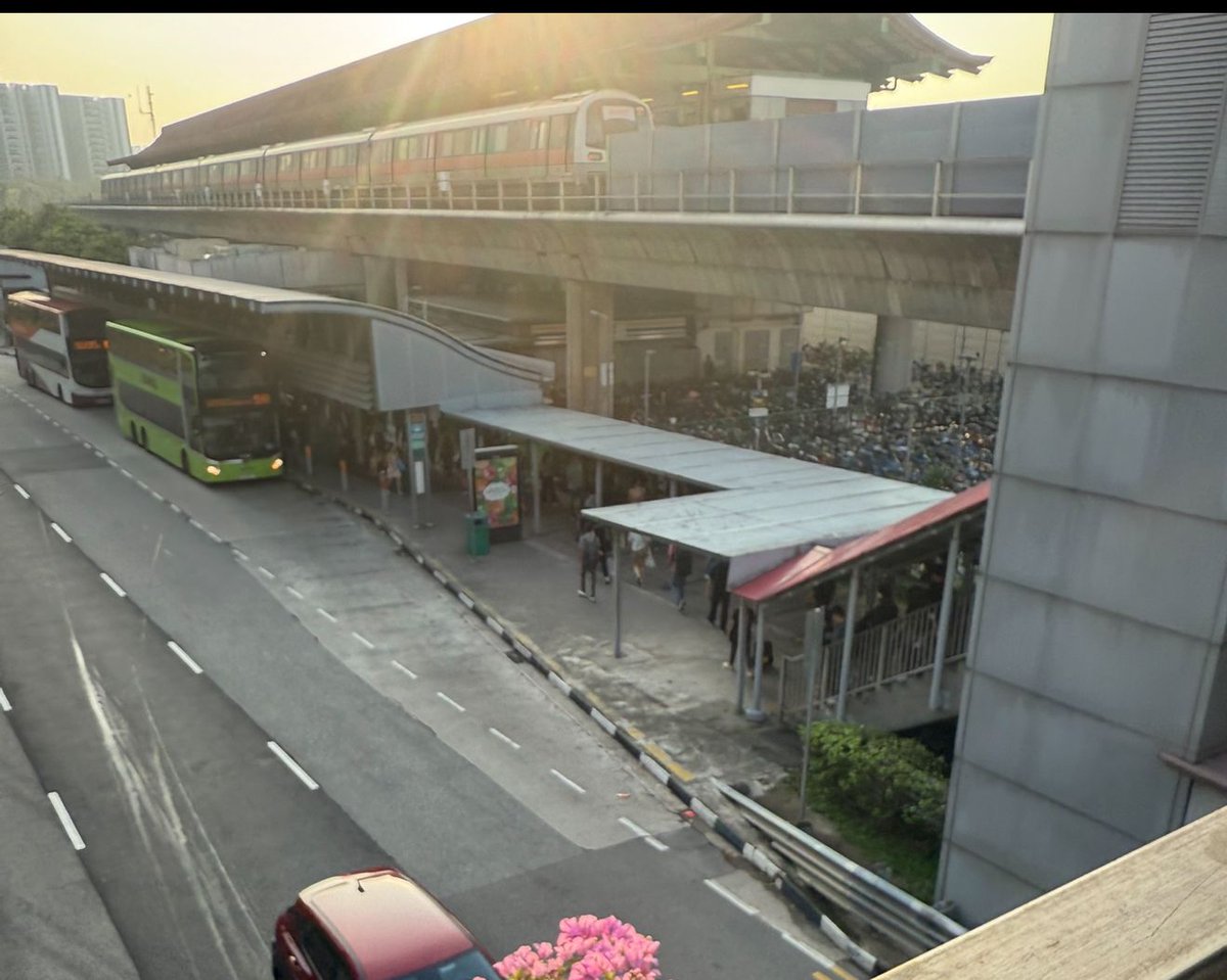 Bella - JB／SG女 tweet media