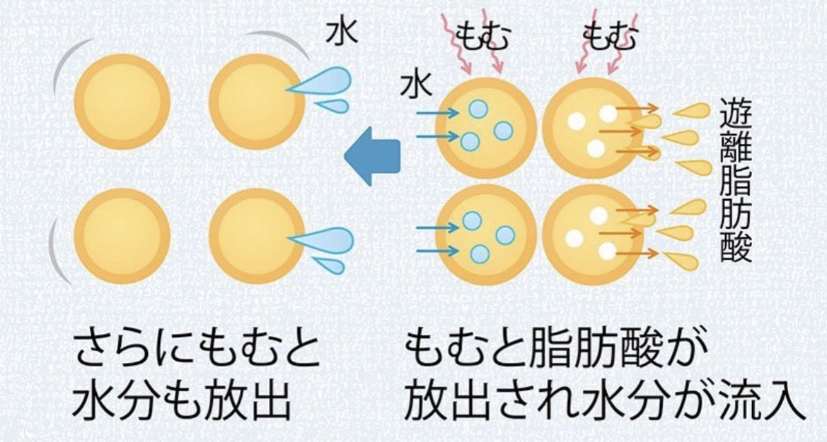 MancuzzoRoberta's tweet photo. これマジで効果えぐい‼️‼️
「私はお腹の中にチワワを3匹ほど飼ってんのか❓❓」ってぐらいお腹パンパンの方は絶対にやるべきwww https://t.co/n4fC1Oqb6B