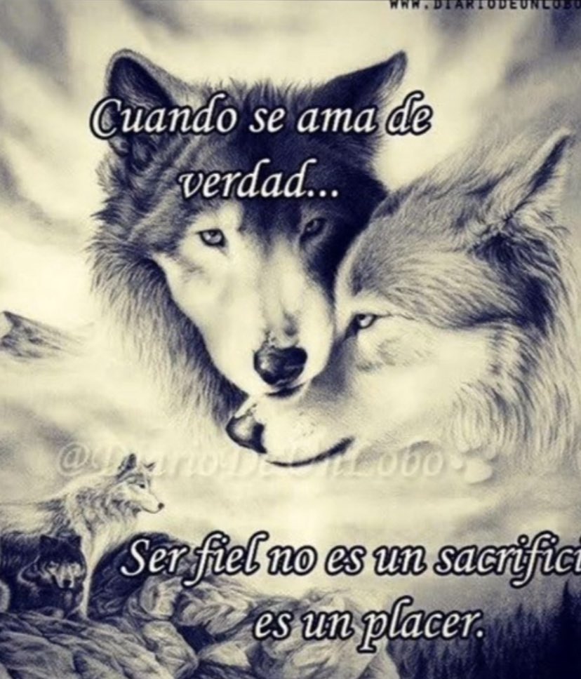 rommss_s's tweet photo. AUUUUUUU https://t.co/rMamgwpBoP