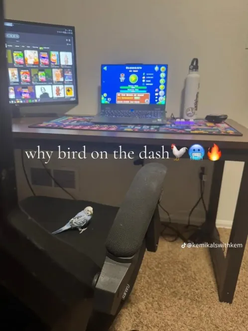 Geometry Dash Takes tweet media